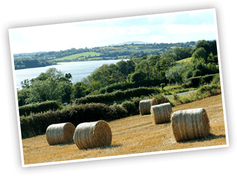 We Focus On Value And Quality, Providing Competitively - Hay (485x360), Png Download