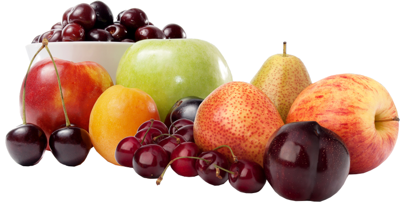 Vector Free Download Bringing Fresh To You Oneonta - Private Company Limited By Shares (842x406), Png Download
