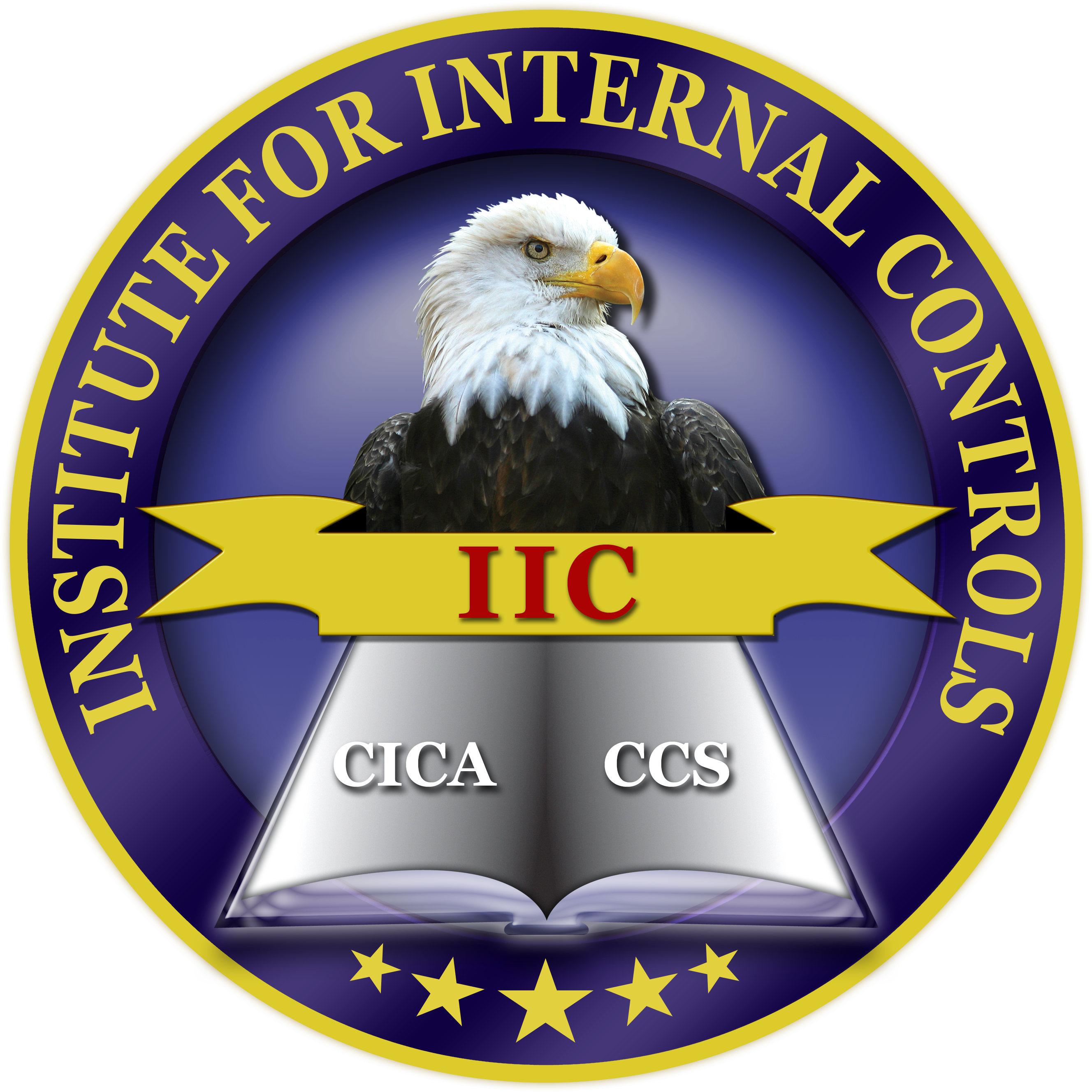 Certified Internal Controls Auditor (3071x3071), Png Download