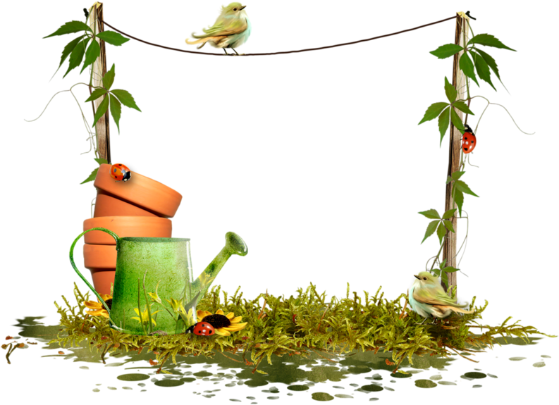 Forgetmenot Cluster Decoupage Frames Tags Pinterest - Frame (800x613), Png Download