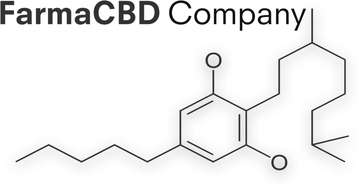 Company (1159x598), Png Download
