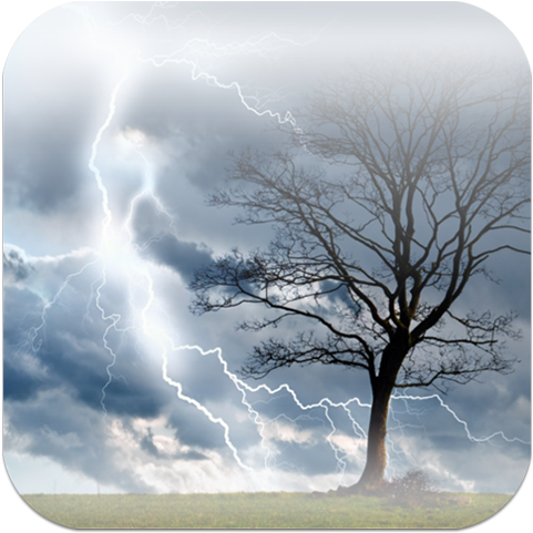 Tree Storm Journal: Blank 200 Page Journal [book] (480x800), Png Download