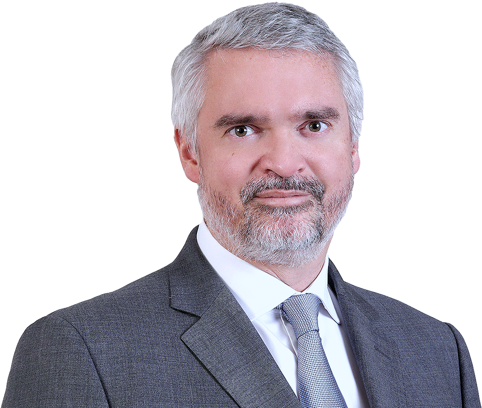 Gwen Senlanne (1000x840), Png Download