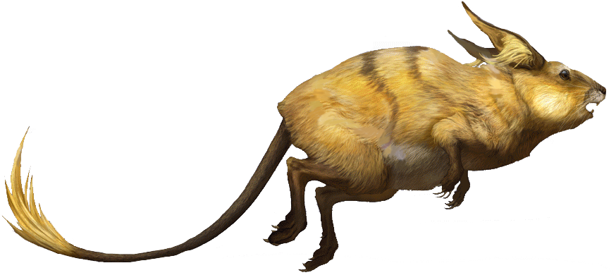 Raichu Rj - Raichu Maschio E Femmina (884x394), Png Download