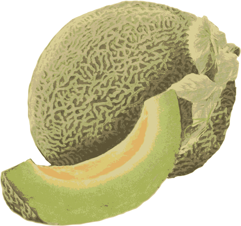 Honeydew Melon - Honeydew (800x754), Png Download