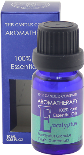 Eucalyptus Essential Oil 10ml - Fragrance Oil (1000x1000), Png Download