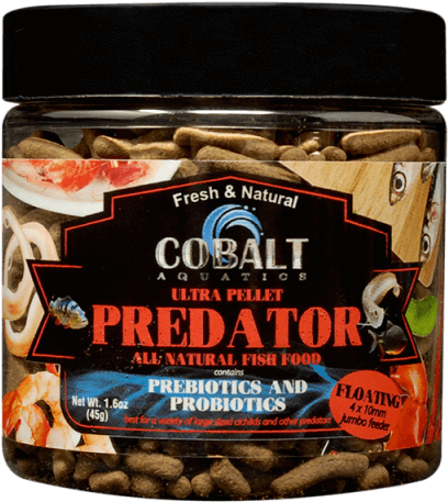 Cobalt Cobalt - Cobalt Aquatics (800x800), Png Download