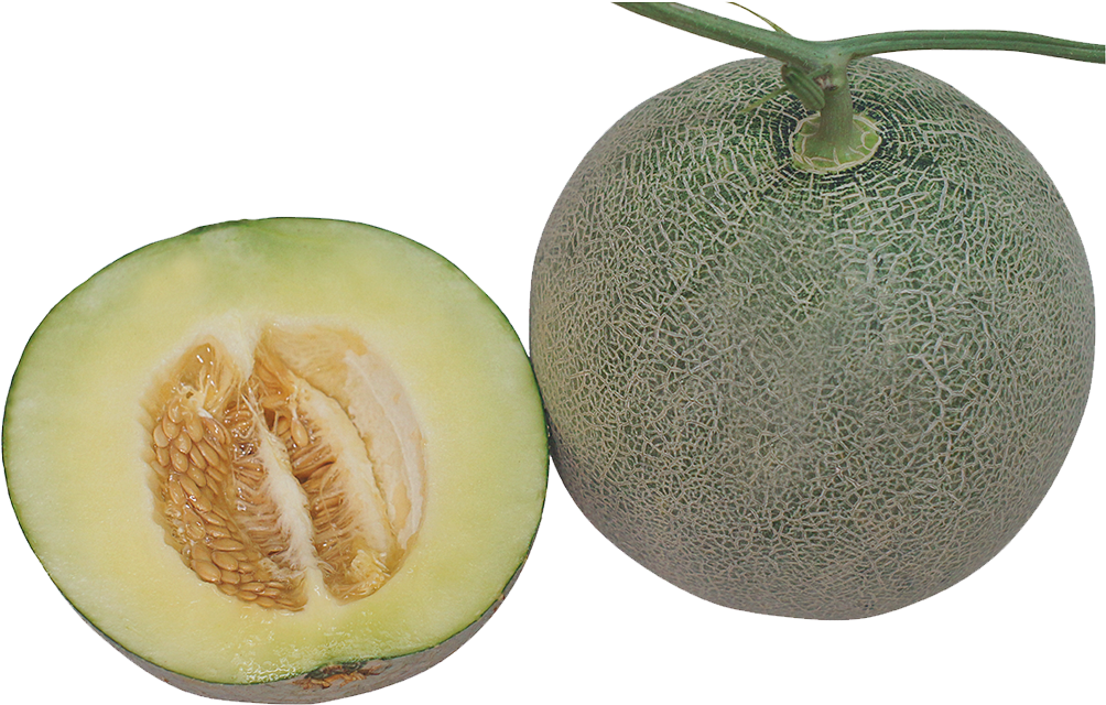 1155 Ttx - Honeydew (1200x1200), Png Download