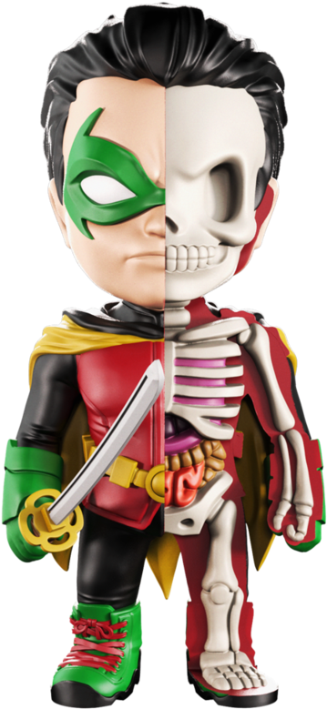 Xxray Robin (800x800), Png Download