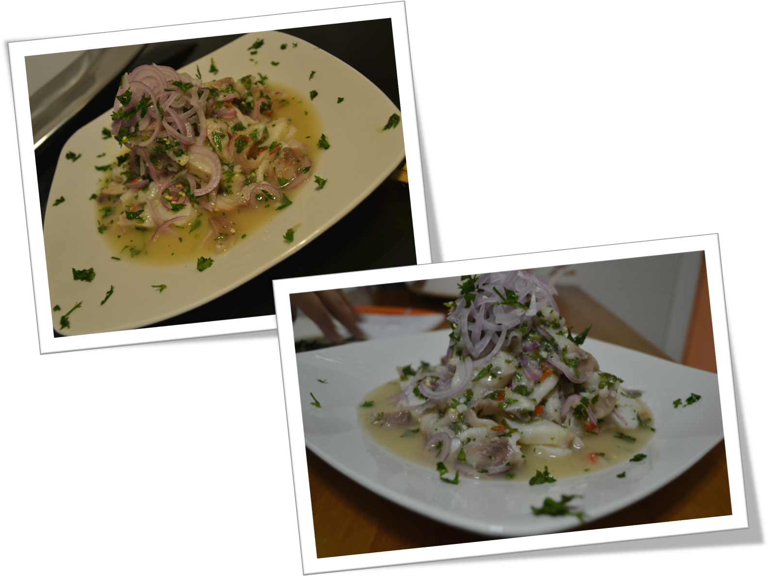 Ceviche (1593x1253), Png Download