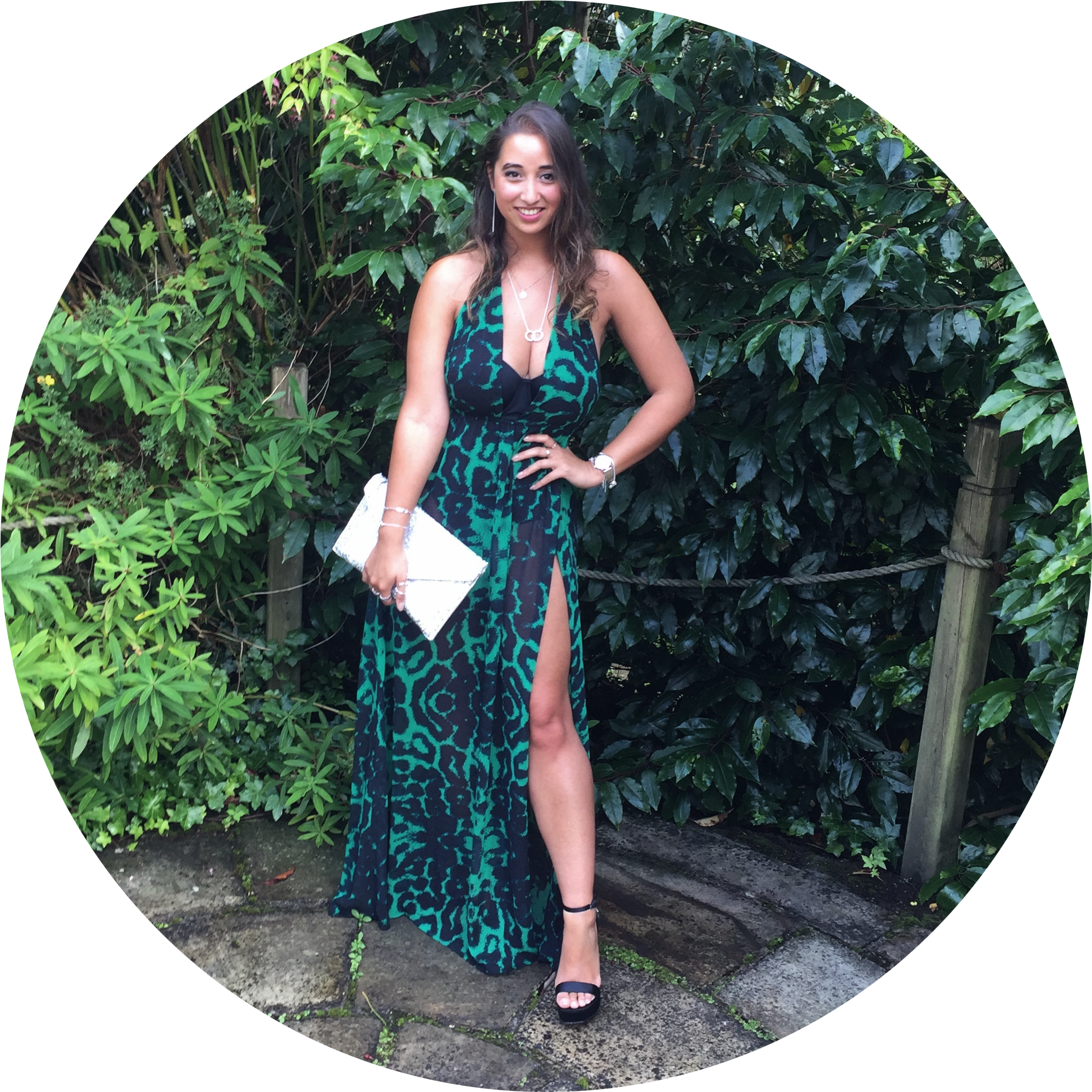 alina plunge maxi dress