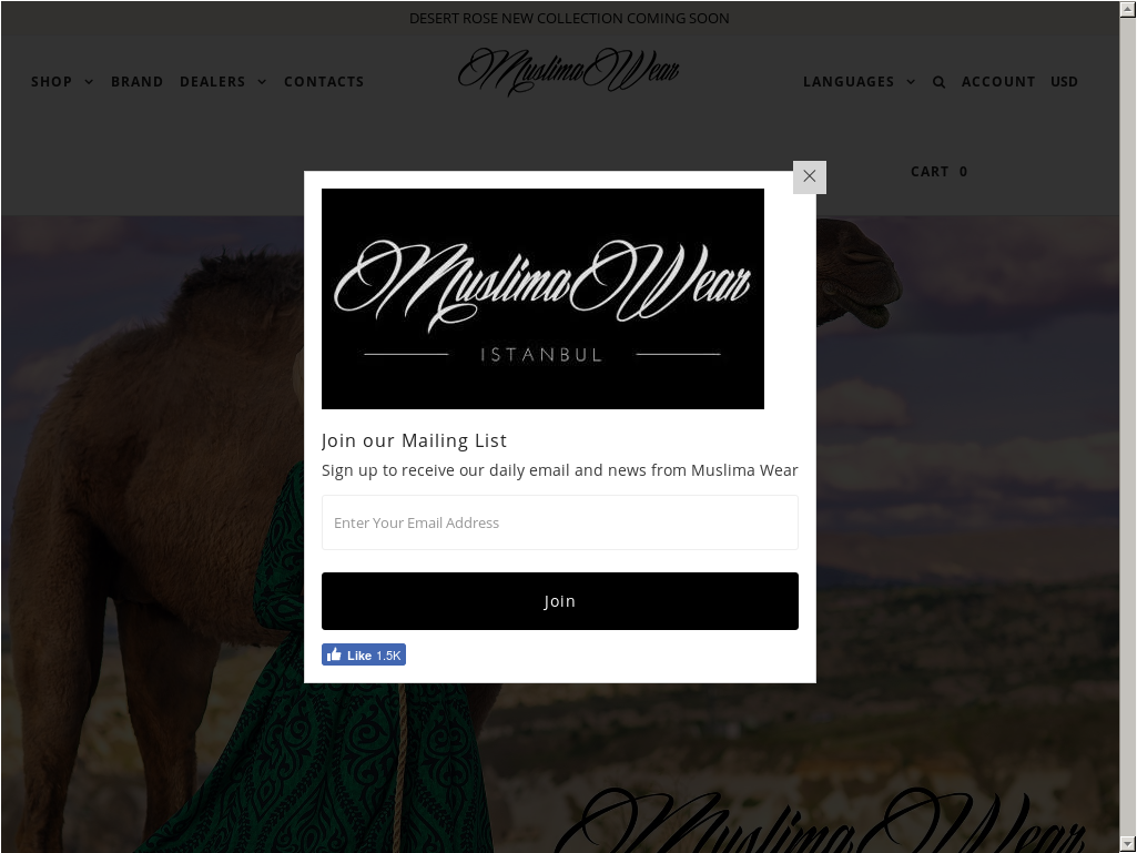 Website History - Ivory (1024x5037), Png Download