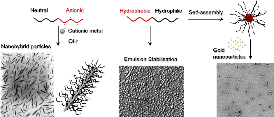 We Propose Various Strategies For The Preparation Of - Shortstraw Pine (960x415), Png Download