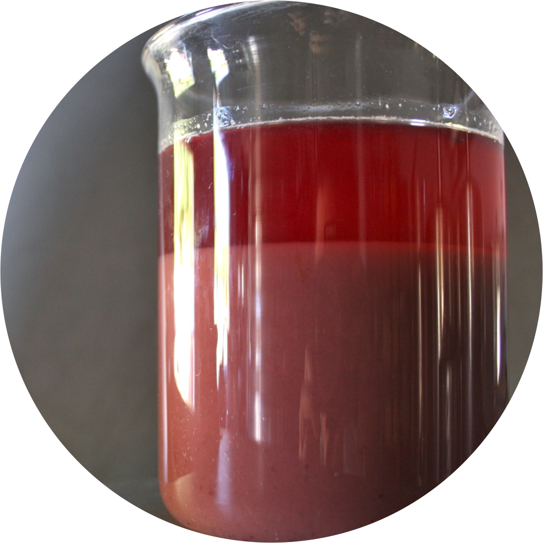 After The Must Extraction Process, The Must Is Decanted - Decantation (1114x1114), Png Download