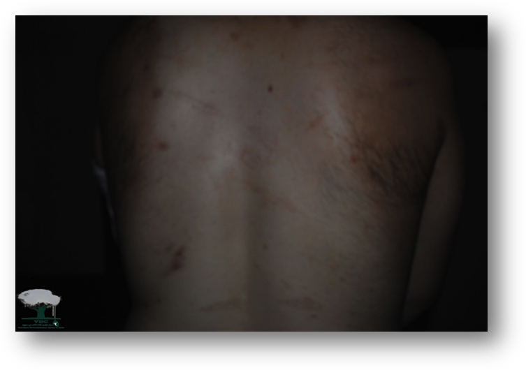 Image003 - Animal (753x530), Png Download