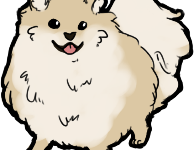 Pomeranian (640x480), Png Download
