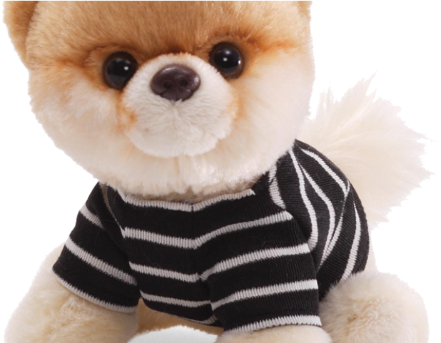 Pomeranian Clipart Transparent (640x480), Png Download