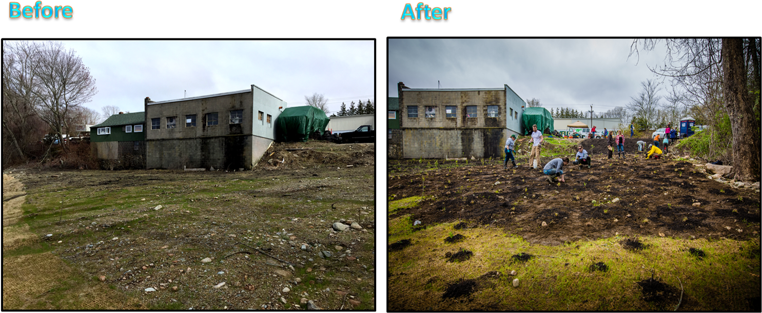 None Of This Would Have Been Possible Without The Hard-work - Grass (1496x622), Png Download