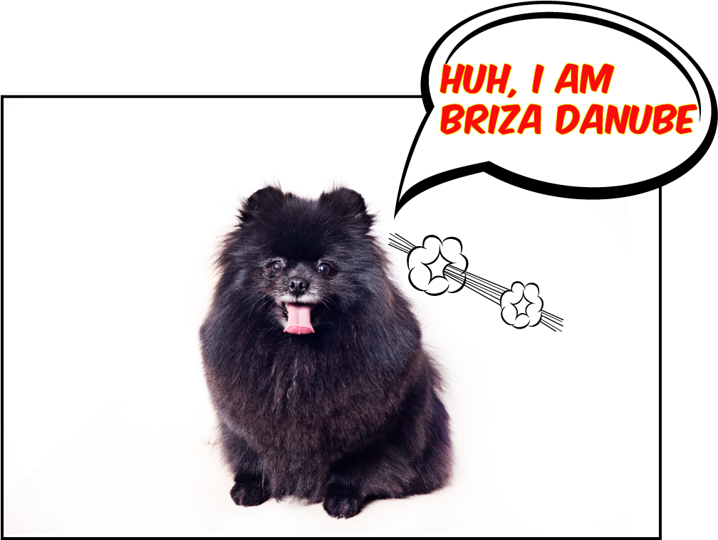 Briza Danube - Blank Comic Books For Kids: Make Your Own Comic Books (1024x768), Png Download