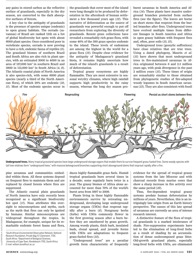Civil War Gettysburg Address (729x929), Png Download