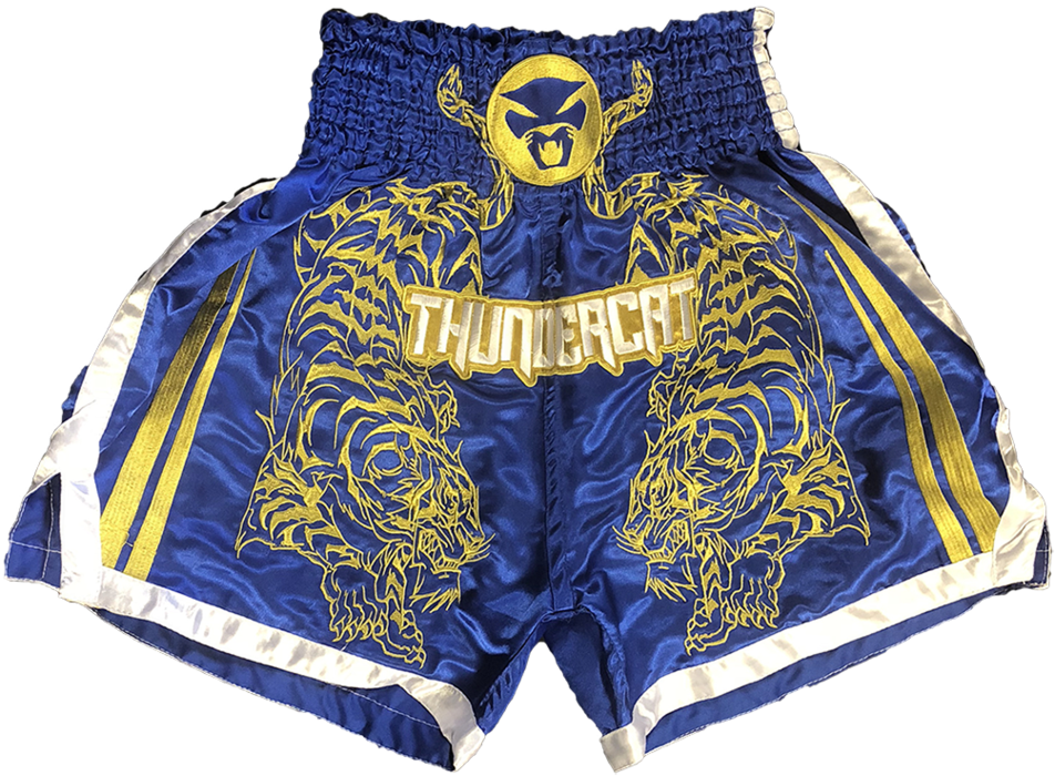 Thundercat Boxing Shorts Round - Thundercat (1024x1024), Png Download