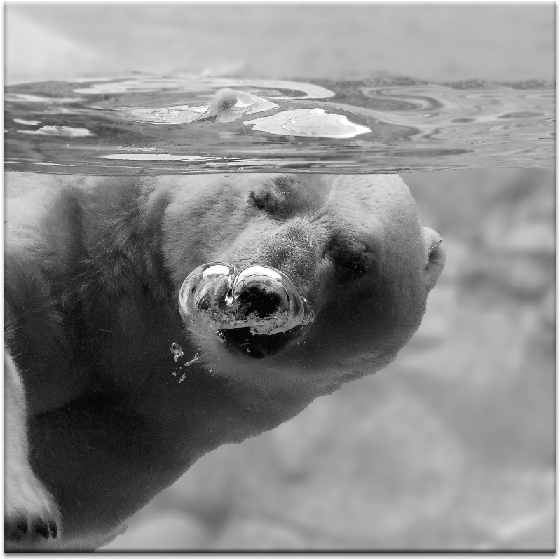 Bubbles - Framed Poster Prints - Bubbles By C.s.tjandra (900x900), Png Download