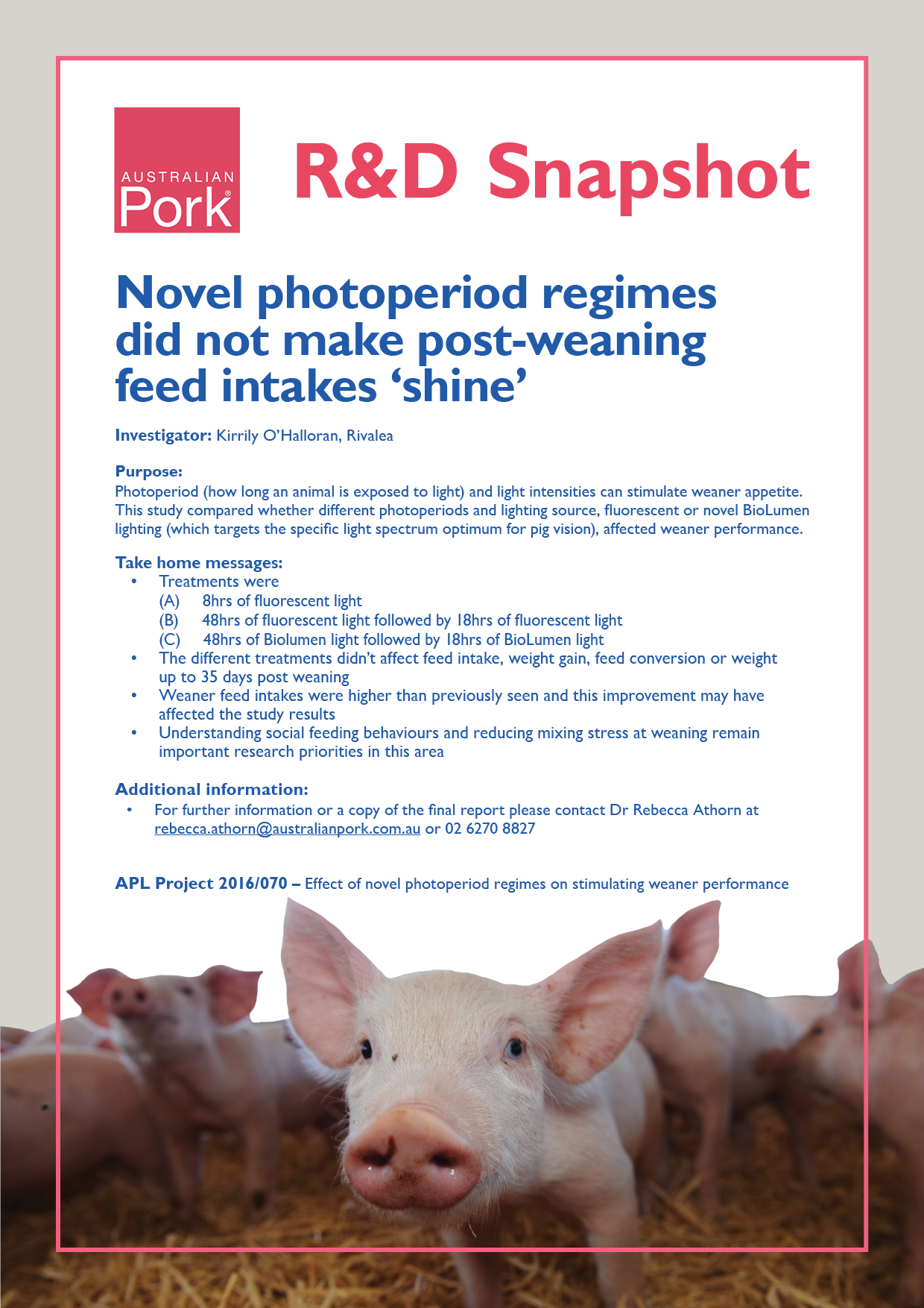 Novel Photoperiod Regimes Did Not Make Post-weaning (1240x1754), Png Download