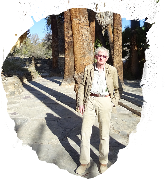 As Someone Who Is Well Travelled And Particularly Well - Tree (660x715), Png Download