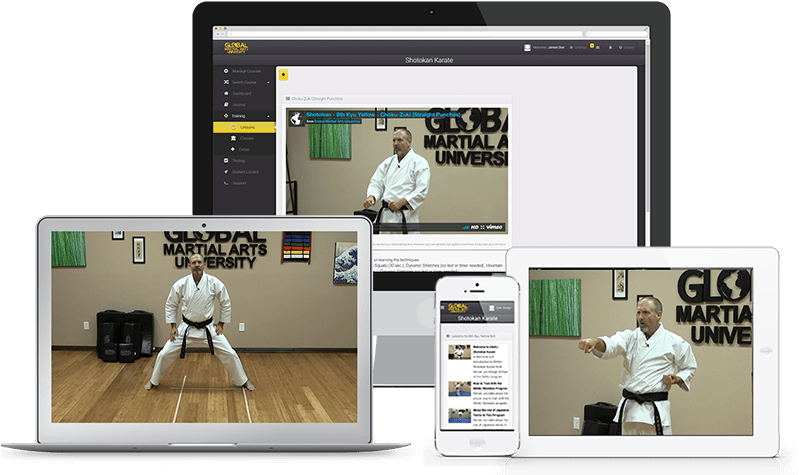 The Gmau Is The Golden Standard For At-home Martial - Shotokan (800x600), Png Download
