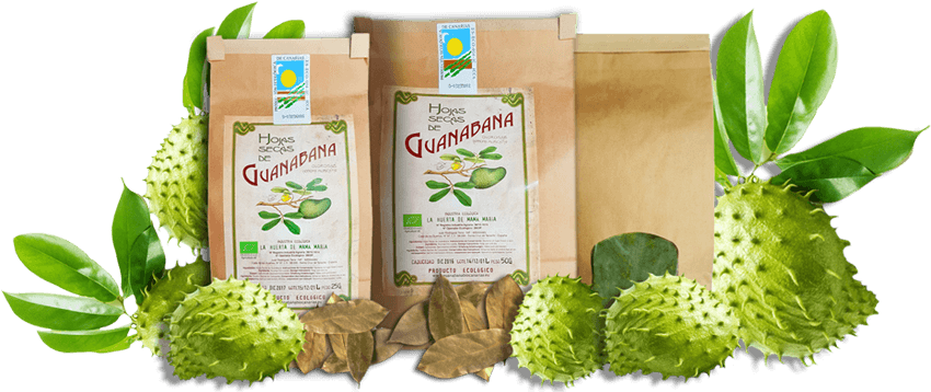 Hojas Guanabana Ecologicas De Canarias - Pharamaamazon Organic Graviola Liquid Soursop Extract (850x370), Png Download