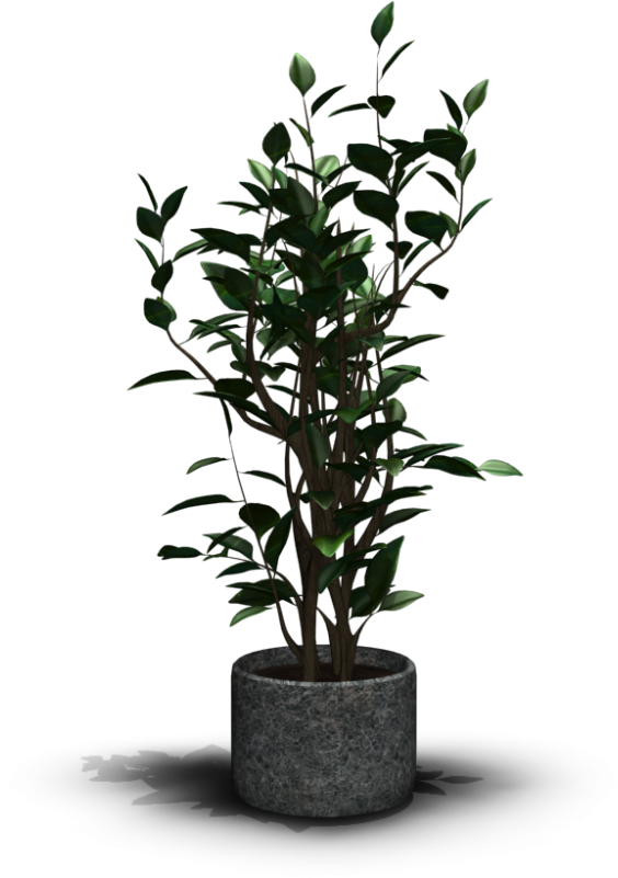 House Plant - Houseplant Font (1000x1000), Png Download