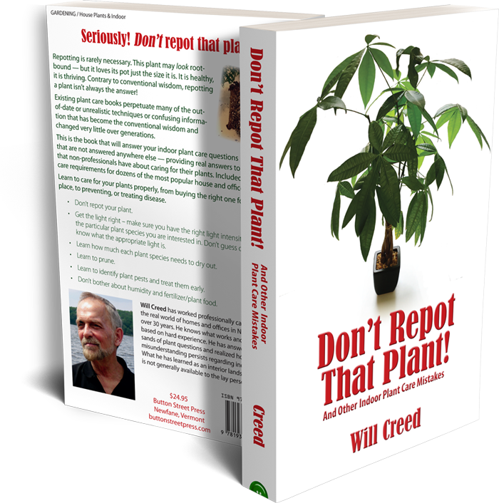 Book Reviews - Don't Repot That Plant! And Other Common Indoor Plant (700x706), Png Download