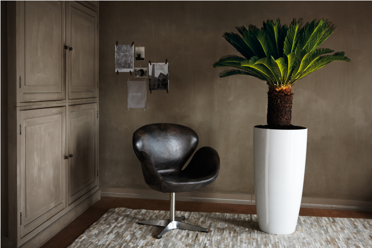 Home > Collection > Brussels Diamond Round High - Brussels Diamond Round High Allin1 27cm (750x750), Png Download