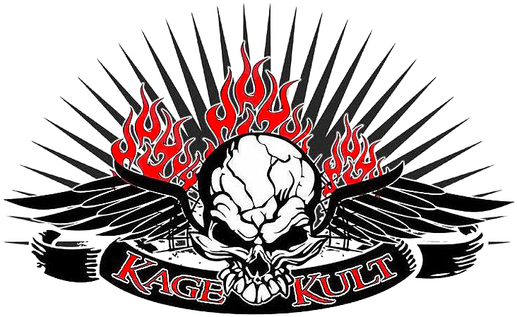 Get Free Autographs From Nfl Players, Take A Photo - Skull (752x462), Png Download