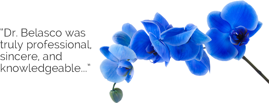 Belasco Is An Excellent Doctor Who Knows What He's - California (940x340), Png Download