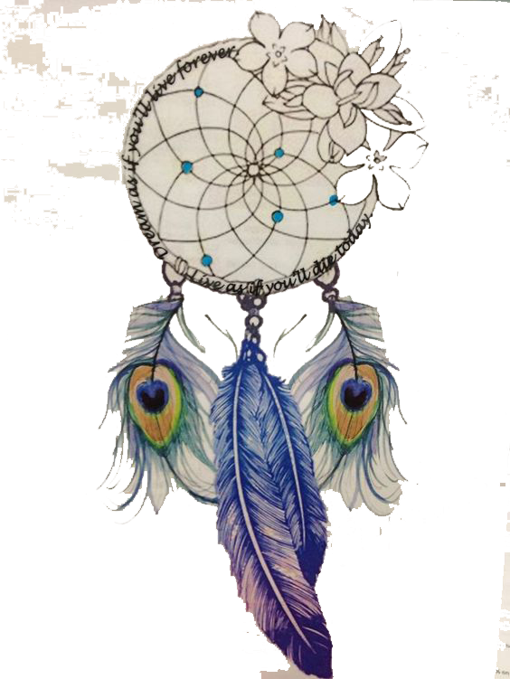 Clip Art Feather Dream Catcher - Feathers On Dream Catchers (564x751), Png Download