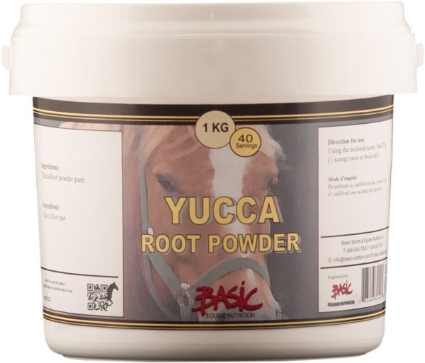 Yucca Root For Horses - Magnesium Supplement For Horses Canada (700x700), Png Download
