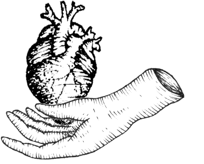 Heart - Portable Network Graphics (1000x858), Png Download