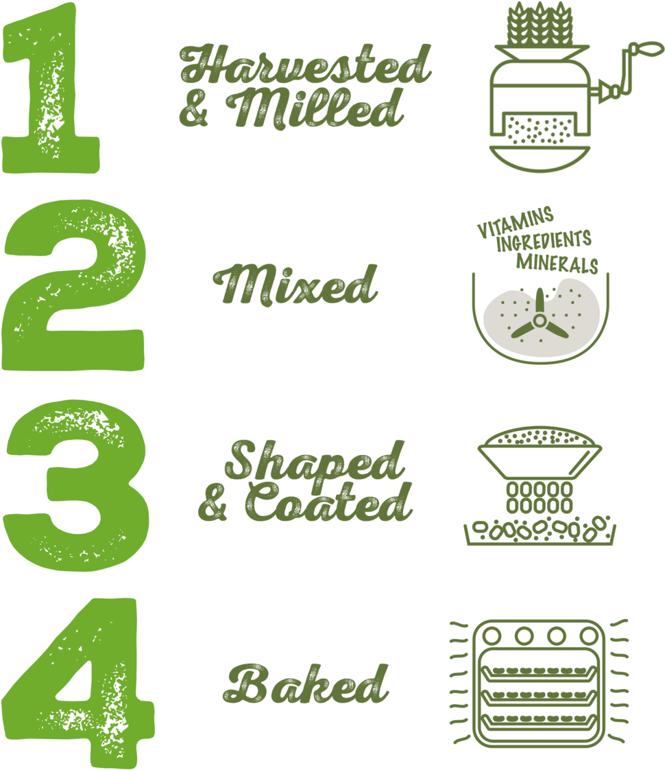 Steps Of Whole Grain Cereal Making - Whole Grain (1024x1159), Png Download