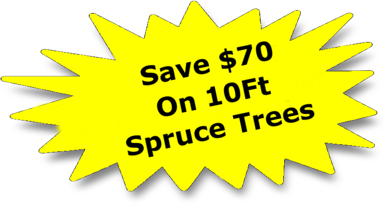 Illustration (770x422), Png Download