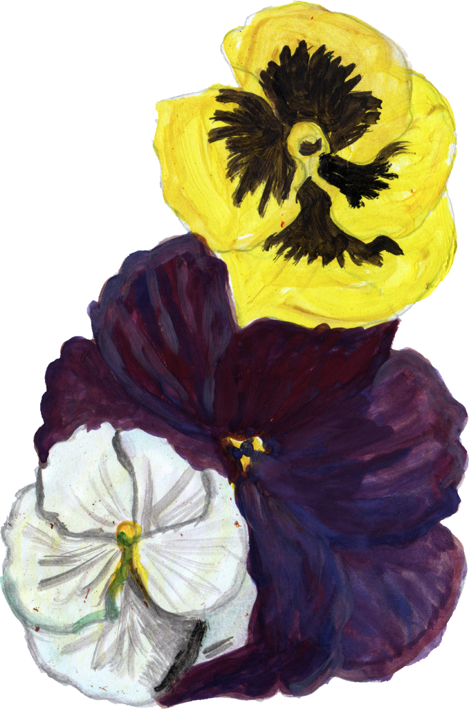 Png File Size - Pansy (678x1024), Png Download