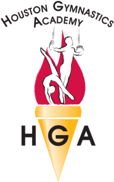 5804 South Rice Avenue, Houston, Texas 77081 - Houston Gymnastics Academy (650x650), Png Download