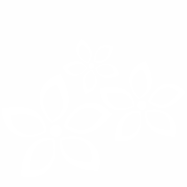 Strijkapplicatie Plumerias (600x600), Png Download