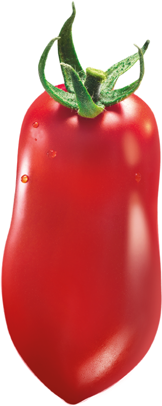 Home - Plum Tomato (382x840), Png Download