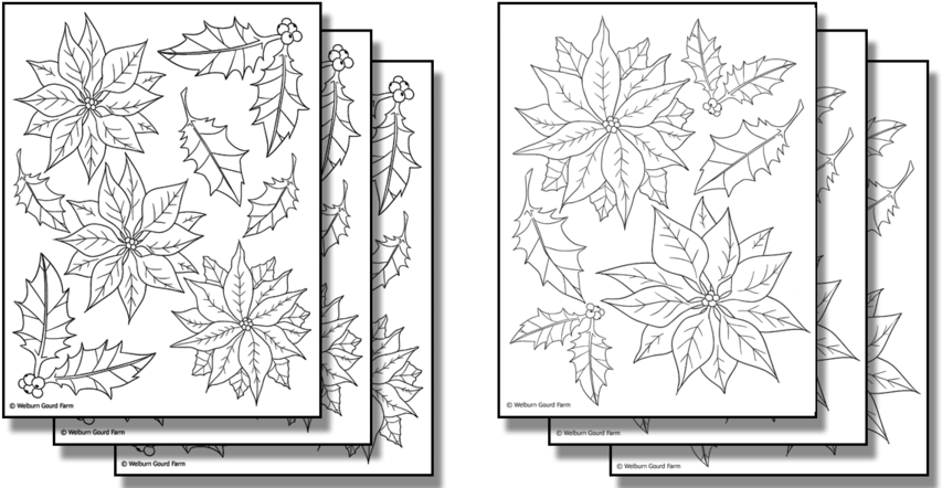Stick 'n Burn Multiples - Poinsettia (900x450), Png Download