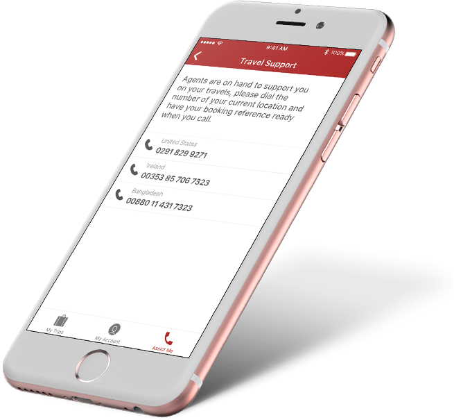 Simplifying The Travel Experience - Iphone (655x605), Png Download