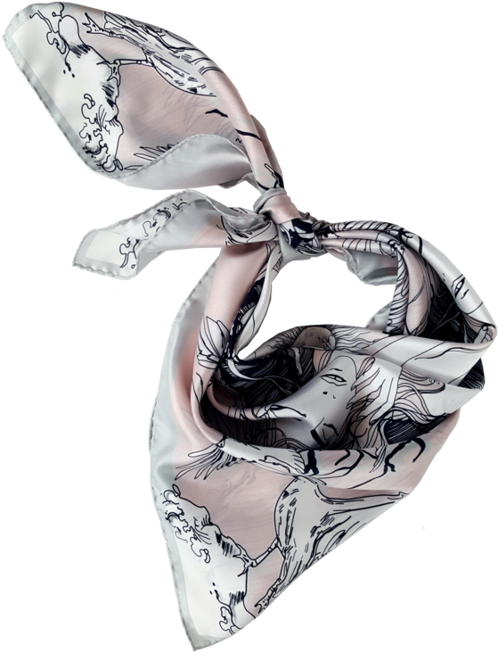 Scarf (641x800), Png Download