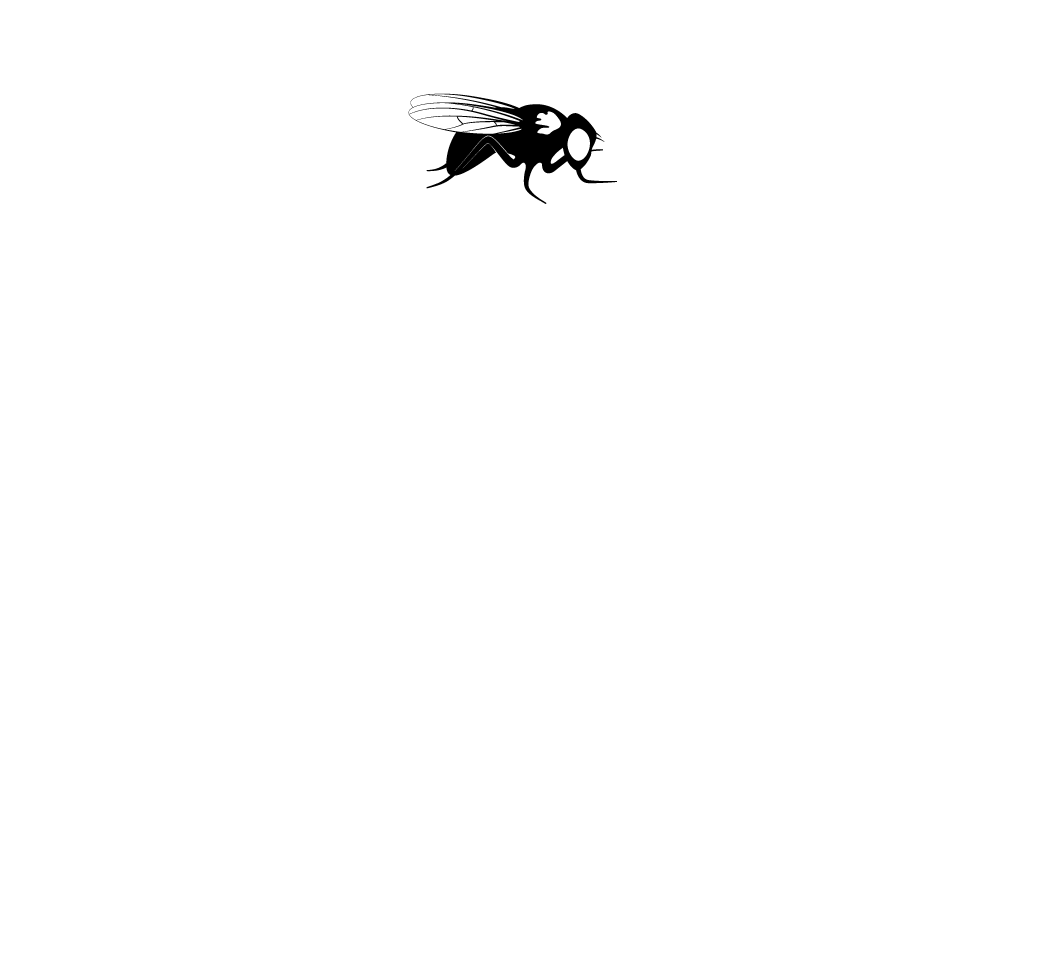 Original Graphic, Right - Matheus Yurley (1280x1280), Png Download