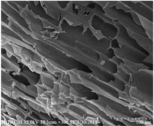 Sem Images Nkcf And (b) Qkcf - Monochrome (903x437), Png Download