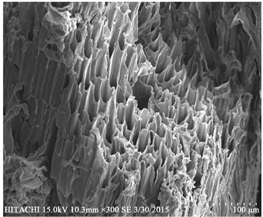 Sem Images Nkcf And (b) Qkcf - Monochrome (903x438), Png Download